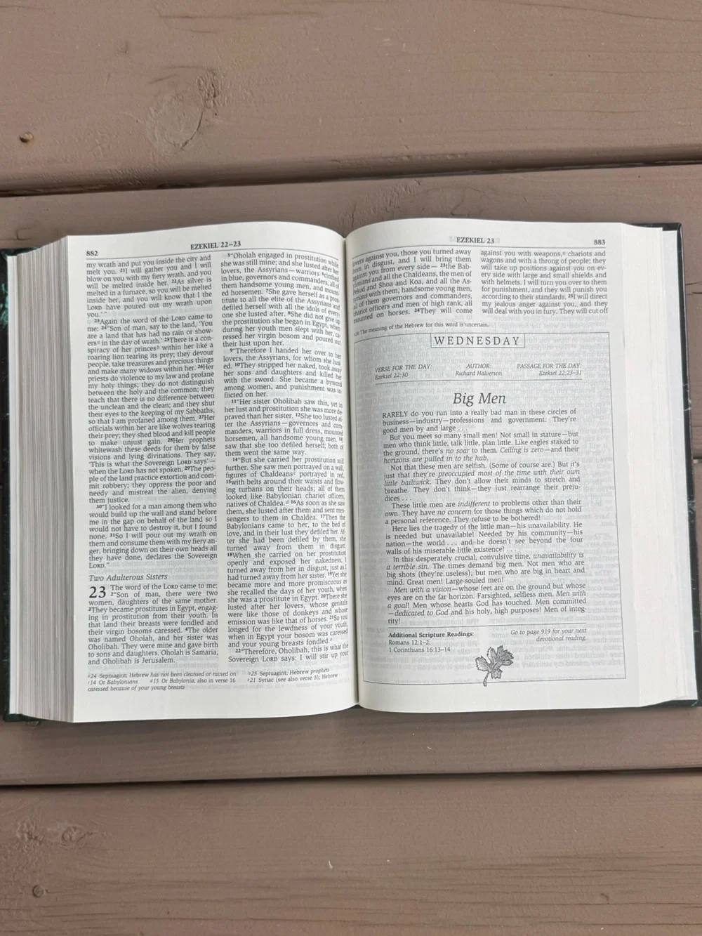 Men's Devotional Bible - (NIV)